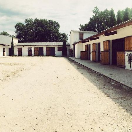 Maison Au Milieu Des Chevaux LʼIsle-sur-la-Sorgue Eksteriør bilde